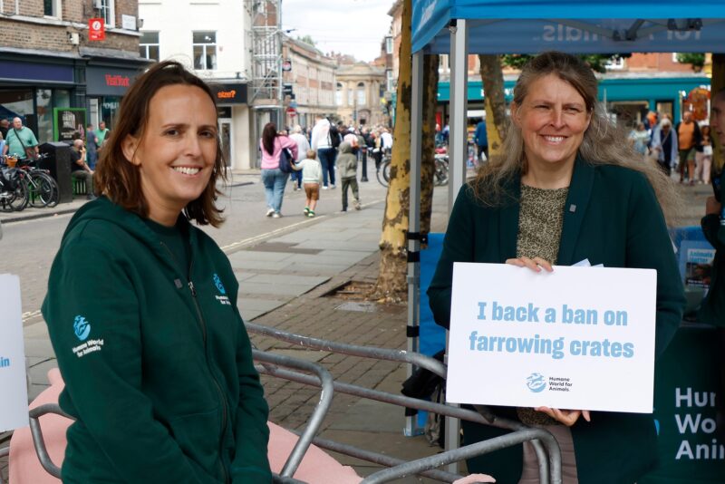 Humane World for Animals meeting in York